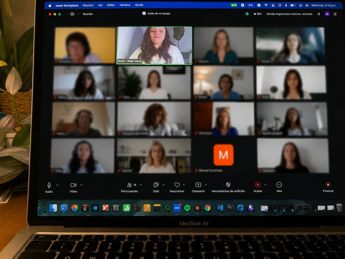 Encuentro online por Zoom con el grupo de Reiki Vocal